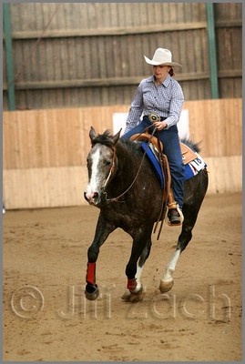 QH061_1199n.jpg (34,0 KB)