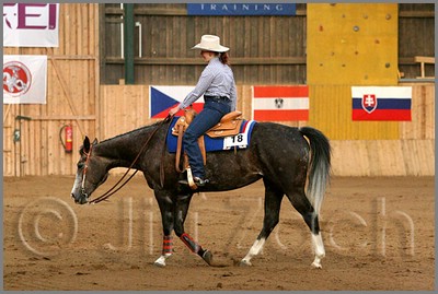 QH061_1206n.jpg (41,1 KB)