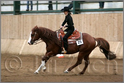 QH061_1210n.jpg (34,7 KB)