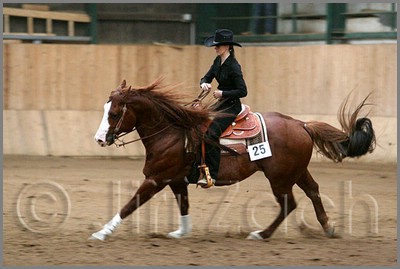 QH061_1211n.jpg (32,6 KB)
