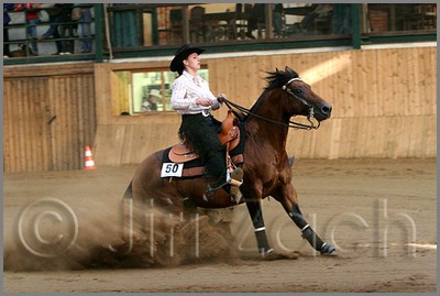 QH061_1217n.jpg (35,0 KB)