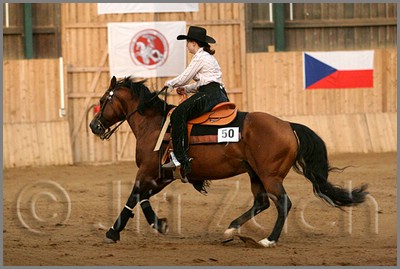 QH061_1233n.jpg (37,4 KB)