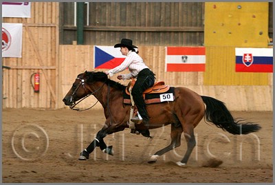 QH061_1234n.jpg (37,5 KB)