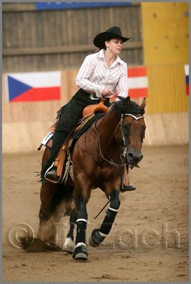 QH061_1243n.jpg (32,4 KB)