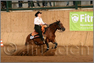 QH061_1244n.jpg (37,3 KB)