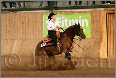 QH061_1245n.jpg (37,8 KB)