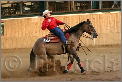 QH061_1253n.jpg (39,1 KB)
