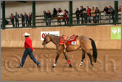 QH061_1276n.jpg (43,3 KB)