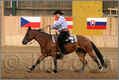 QH061_1282n.jpg (37,0 KB)