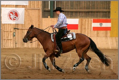 QH061_1283n.jpg (37,4 KB)