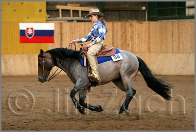 QH061_1301n.jpg (36,4 KB)