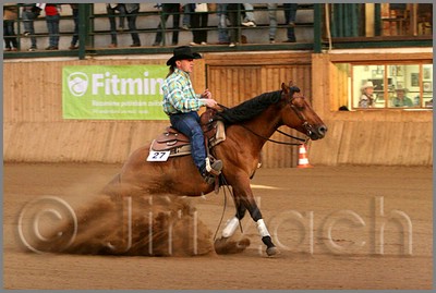 QH061_1314n.jpg (36,9 KB)