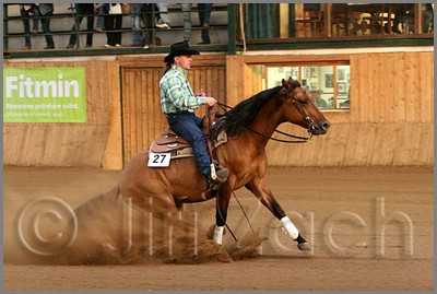 QH061_1315n.jpg (37,5 KB)