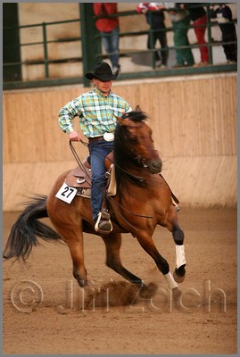 QH061_1317n.jpg (34,9 KB)