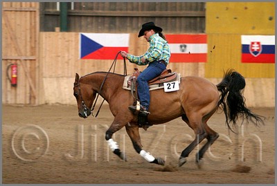 QH061_1322n.jpg (35,7 KB)