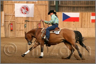 QH061_1323n.jpg (35,8 KB)