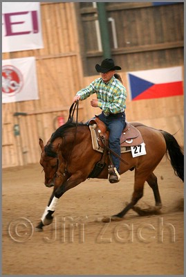 QH061_1328n.jpg (32,6 KB)
