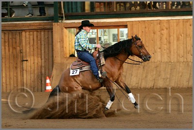 QH061_1331n.jpg (37,7 KB)