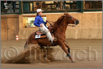 QH061_1333n.jpg (36,7 KB)
