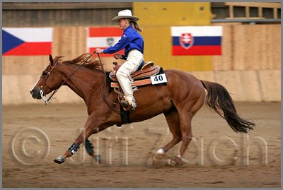 QH061_1338n.jpg (33,9 KB)