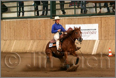 QH061_1347n.jpg (39,7 KB)