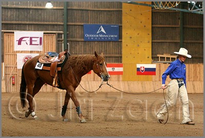 QH061_1348n.jpg (40,6 KB)
