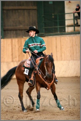 QH061_1351n.jpg (35,0 KB)