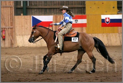 QH061_1367n.jpg (38,0 KB)