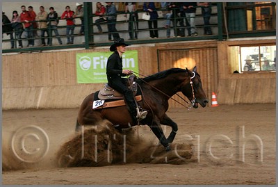 QH061_1374n.jpg (36,7 KB)