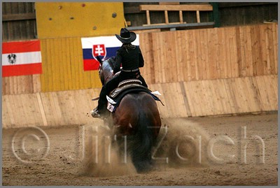 QH061_1376n.jpg (35,1 KB)