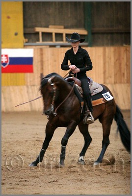 QH061_1378n.jpg (34,8 KB)