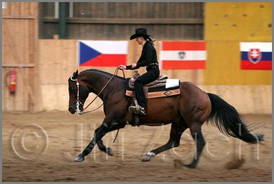 QH061_1381n.jpg (33,6 KB)