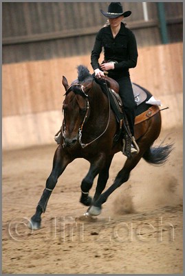 QH061_1384n.jpg (32,9 KB)