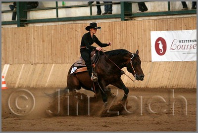 QH061_1386n.jpg (36,1 KB)