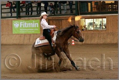 QH061_1388n.jpg (36,6 KB)