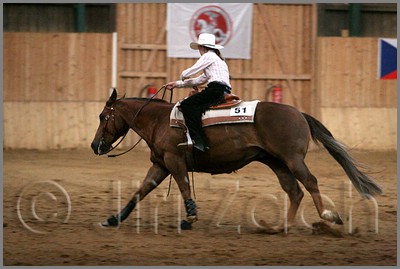 QH061_1394n.jpg (33,6 KB)