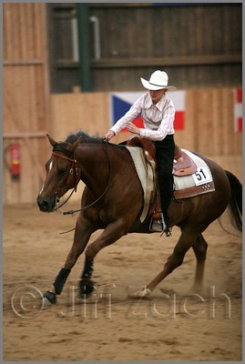 QH061_1398n.jpg (30,4 KB)