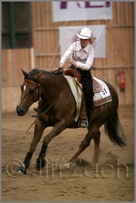 QH061_1399n.jpg (30,7 KB)