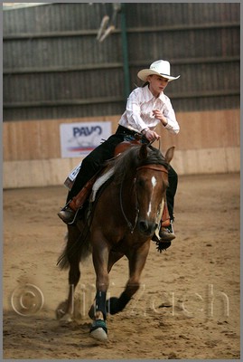 QH061_1400n.jpg (31,5 KB)