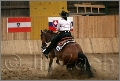 QH061_1404n.jpg (33,6 KB)