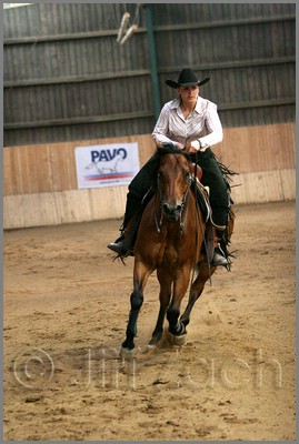 QH061_1410n.jpg (37,0 KB)