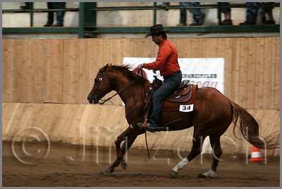 QH061_1420n.jpg (34,4 KB)