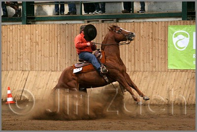 QH061_1422n.jpg (39,0 KB)