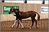 QH061_0006n.jpg(33,1 KB)