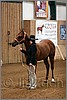 QH061_0009n.jpg(39,0 KB)