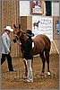 QH061_0011n.jpg(37,3 KB)