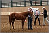 QH061_0015n.jpg(41,8 KB)