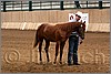 QH061_0016n.jpg(39,3 KB)