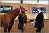 QH061_0020n.jpg(34,6 KB)