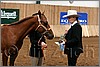 QH061_0021n.jpg(34,4 KB)